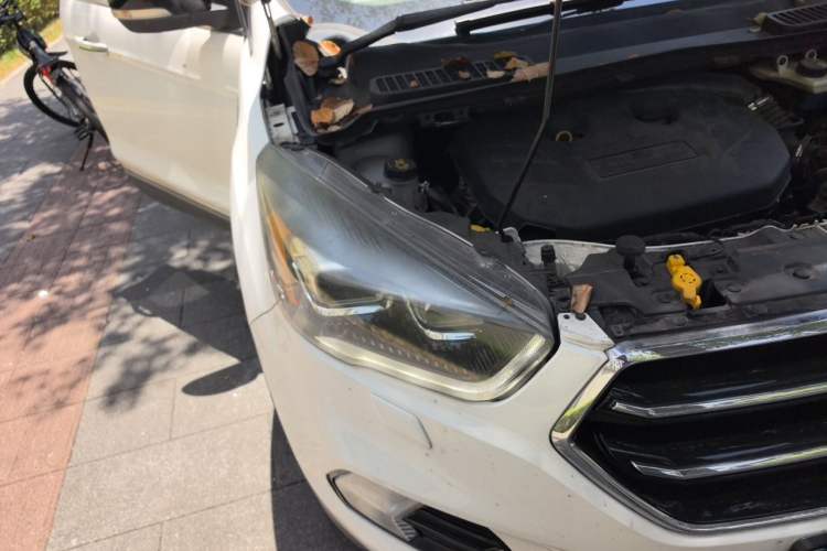 Used Ford Kuga 2017 EcoBoost 245 Four-Wheel-Drive Sport Model Right Front Headlight