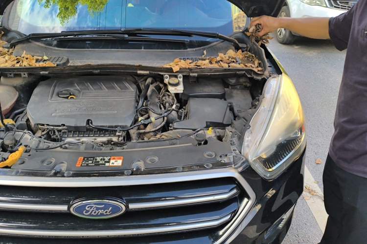 Used Ford Kuga 2018 EcoBoost 180 Two-Wheel-Drive Cognac Special Edition Engine Bay Left