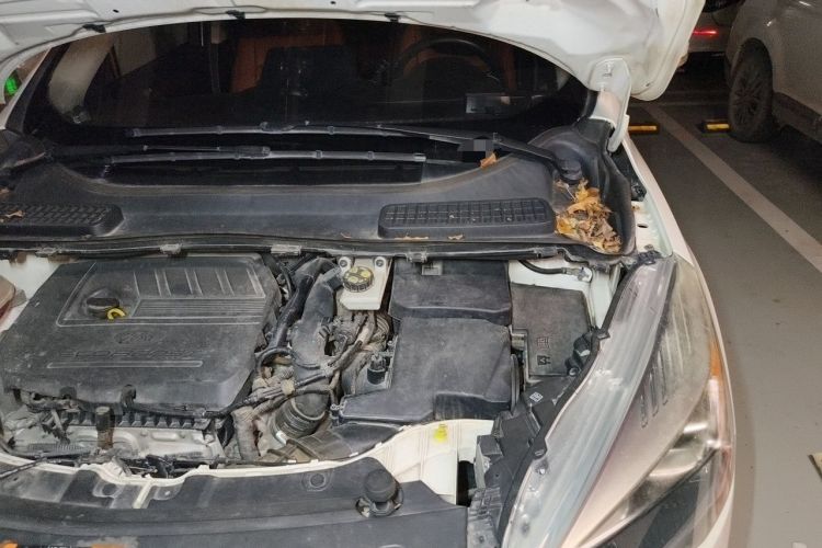 Used Ford Kuga 2018 EcoBoost 180 Two-Wheel-Drive Elite Trim Engine Bay Left