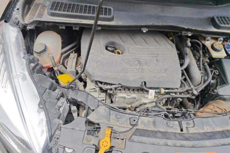 Used Ford Kuga 2019 EcoBoost 180 Two-Wheel-Drive Platinum Edition China VI Standard Engine Bay Right