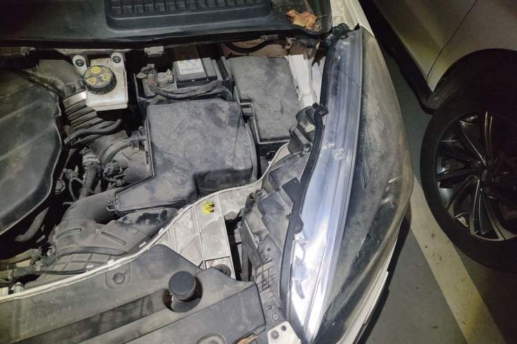 Used Ford Kuga 2019 EcoBoost 245 4x4 Prestige Plus Model China VI Standard Engine Bay Left