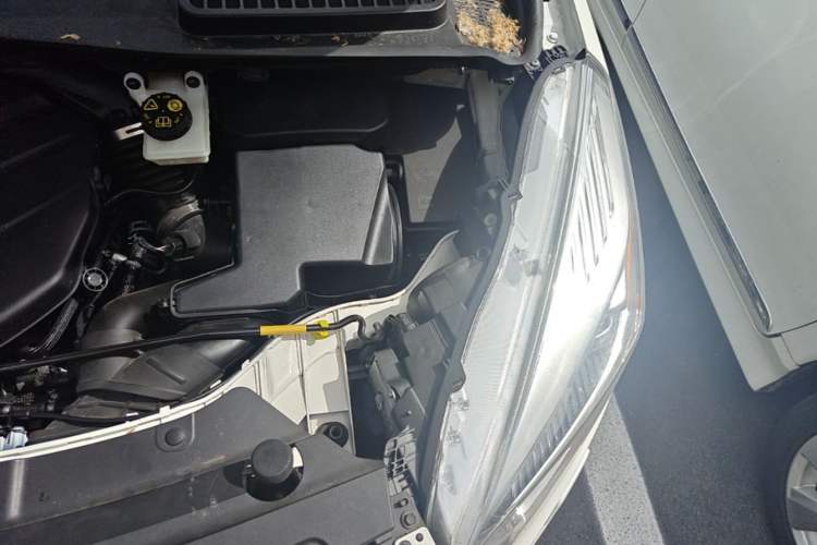 Used Ford Kuga 2019 EcoBoost 245 4x4 Titanium Edition China V Standard Engine Bay Left