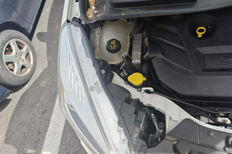 Used Ford Kuga 2019 EcoBoost 245 4x4 Titanium Edition China V Standard Engine Bay Right