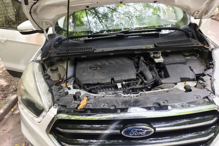 Used Ford Kuga 2019 EcoBoost 180 Two-Wheel-Drive Platinum Edition China VI Standard Engine Bay Right