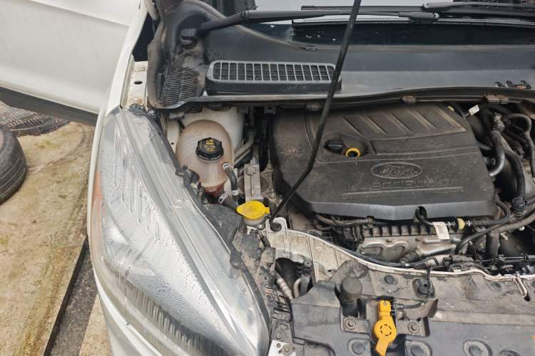 Used Ford Kuga 2019 EcoBoost 180 Two-Wheel-Drive Platinum Edition China VI Standard Engine Bay Right