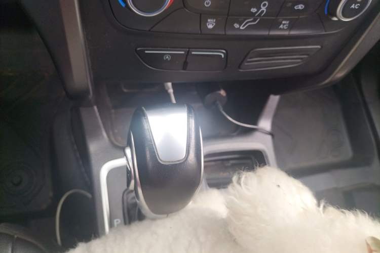 Used Ford Kuga 2019 EcoBoost 180 Two-Wheel-Drive Platinum Edition China V Standard Gear Lever