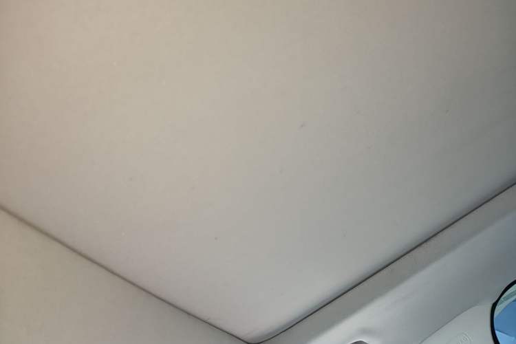 Used Ford Kuga 2019 EcoBoost 180 Two-Wheel-Drive Platinum Edition China VI Standard Headliner
