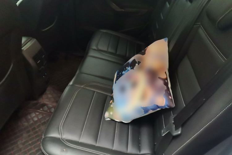 Used Ford Kuga 2019 EcoBoost 180 Two-Wheel-Drive Platinum Edition China VI Standard Left Rear Seat