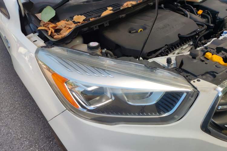Used Ford Kuga 2019 EcoBoost 180 Two-Wheel-Drive Platinum Edition China VI Standard Right Front Headlight