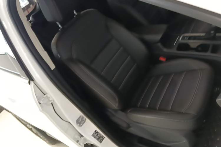 Used Ford Kuga 2019 EcoBoost 180 Two-Wheel-Drive Platinum Edition China VI Standard Right Front Seat