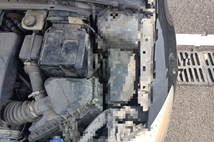 Used Ford Mondeo 2011 2.3L Fashion Edition Engine Bay Left