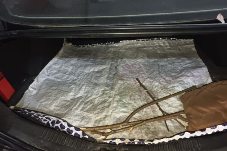 Used Ford Mondeo 2011 2.0L GTDi 200 Fashion Edition Trunk