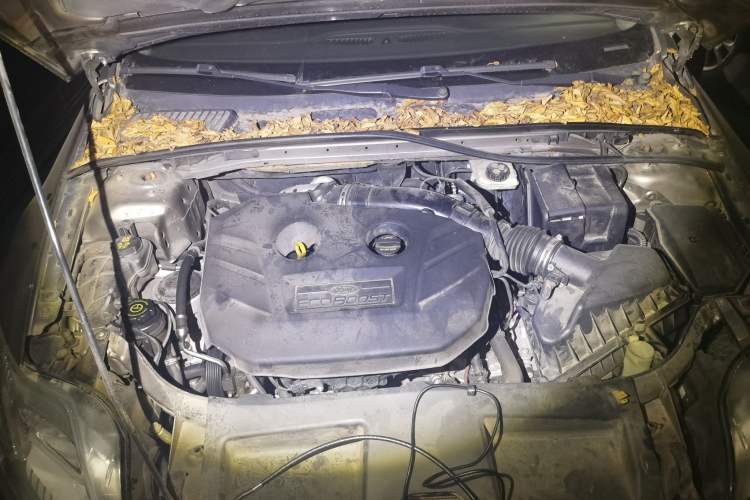 Used Ford Mondeo 2011 2.0L GTDi 200 Fashion Edition Engine Bay
