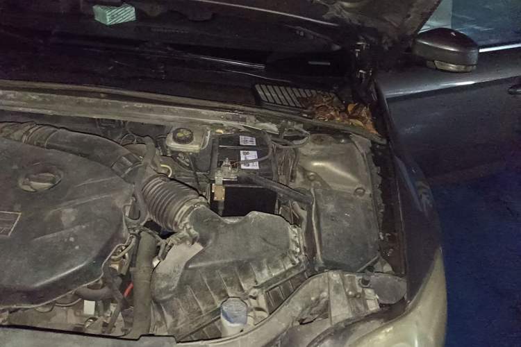 Used Ford Mondeo 2011 2.0L GTDi 200 Fashion Edition Engine Bay Left