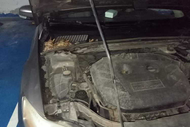 Used Ford Mondeo 2011 2.0L GTDi 200 Fashion Edition Engine Bay Right