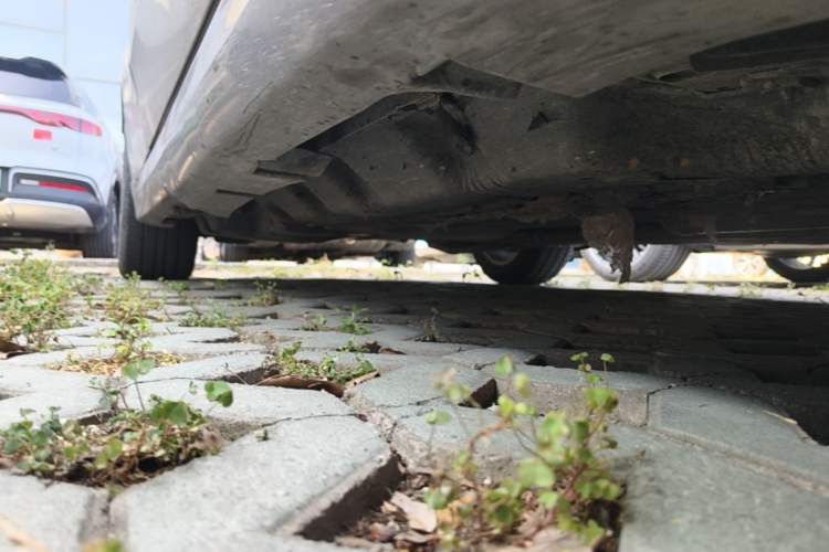 Used Ford Mondeo 2013 1.5L GTDi180 Fashion Edition Chassis Front Right