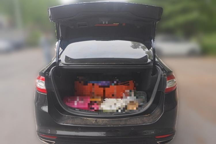 Used Ford Mondeo 2013 2.0L GTDi 200 Luxury Model Trunk