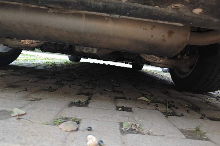 Used Ford Mondeo 2013 1.5L GTDi180 Fashion Edition Chassis Rear