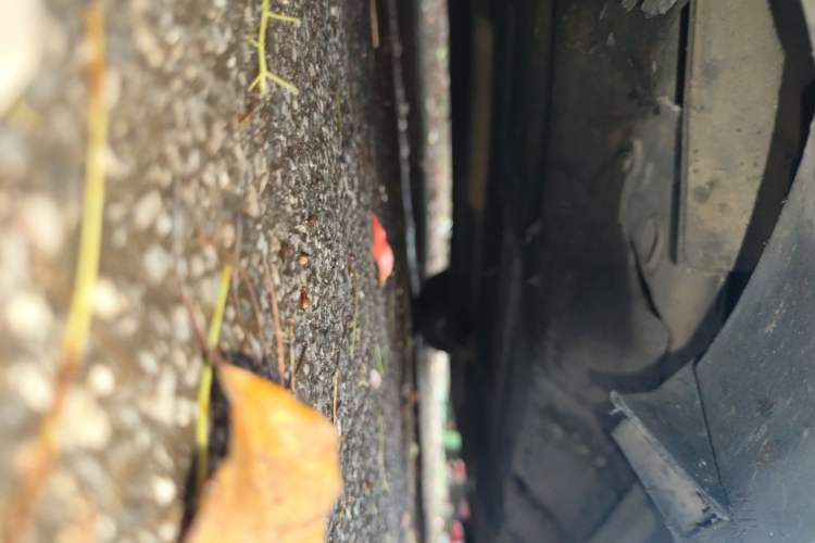Used Ford Mondeo 2013 1.5L GTDi180 Comfort Model Chassis Front Left