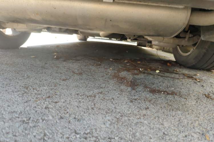 Used Ford Mondeo 2013 1.5L GTDi180 Fashion Edition Chassis Rear