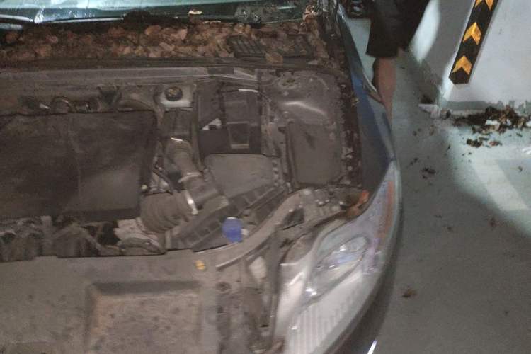 Used Ford Mondeo 2013 2.3L Fashion Edition Engine Bay Left
