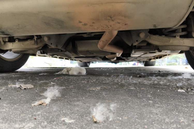 Used Ford Mondeo 2013 2.0L GTDi 200 Luxury Model Chassis Rear