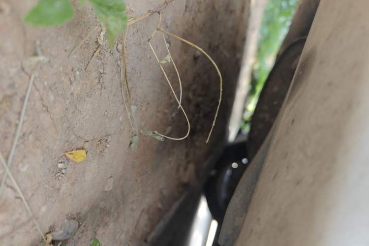 Used Ford Mondeo 2013 1.5L GTDi180 Fashion Edition Chassis Rear Right