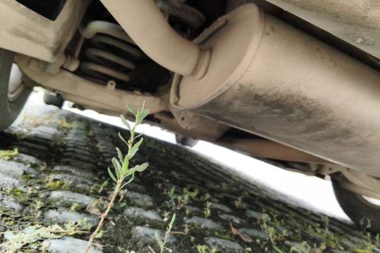 Used Ford Mondeo 2013 1.5L GTDi180 Comfort Model Chassis Rear
