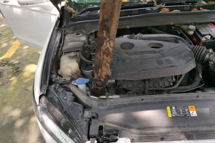 Used Ford Mondeo 2013 2.0L GTDi 200 Fashion Edition Engine Bay Right