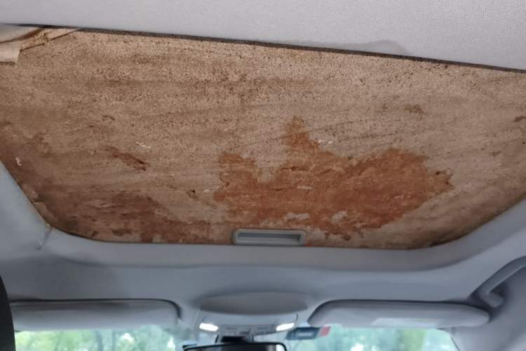 Used Ford Mondeo 2013 1.5L GTDi180 Fashion Edition Headliner