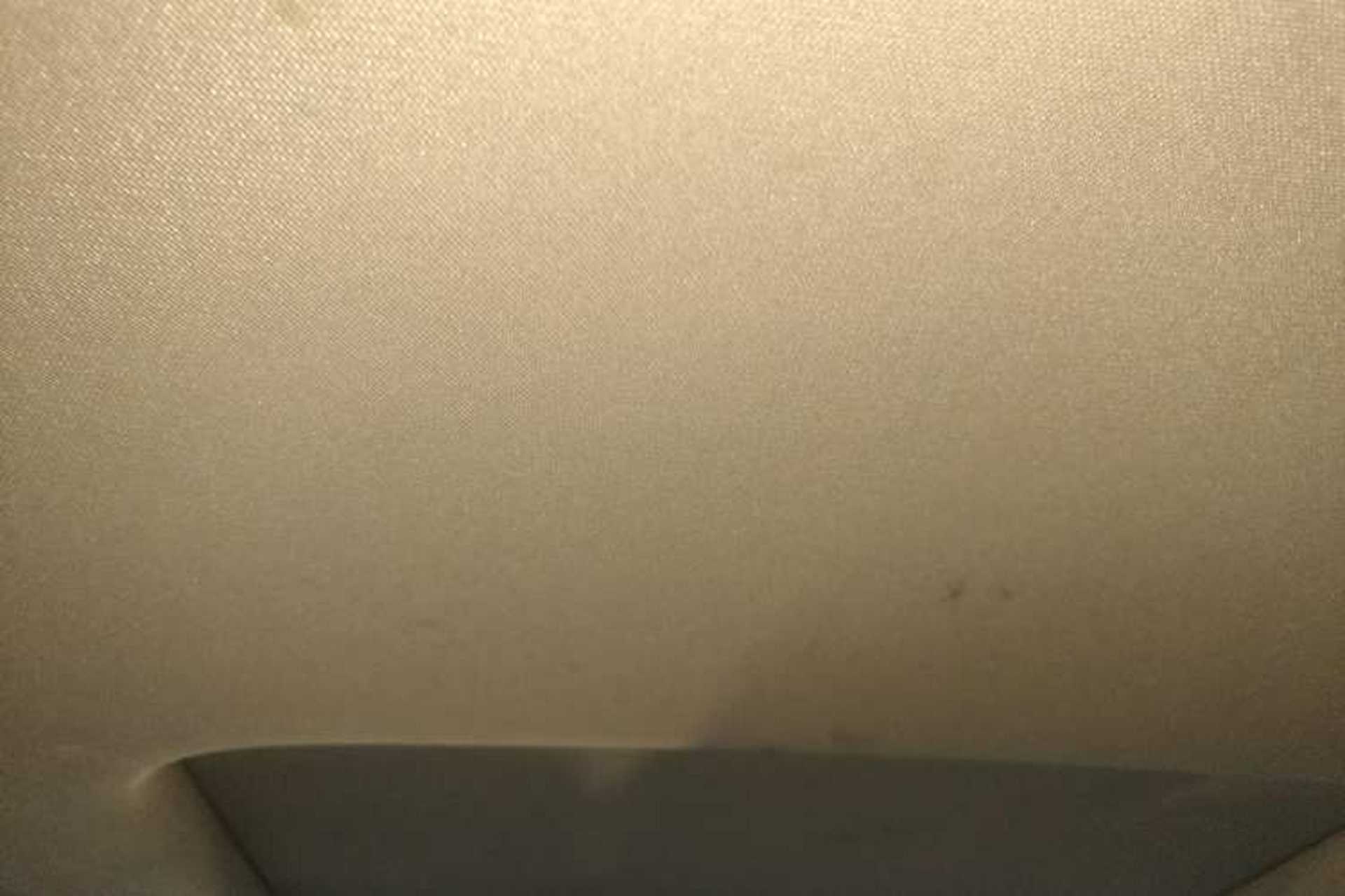 Used Ford Mondeo 2017 EcoBoost 180 Stylish Model Headliner