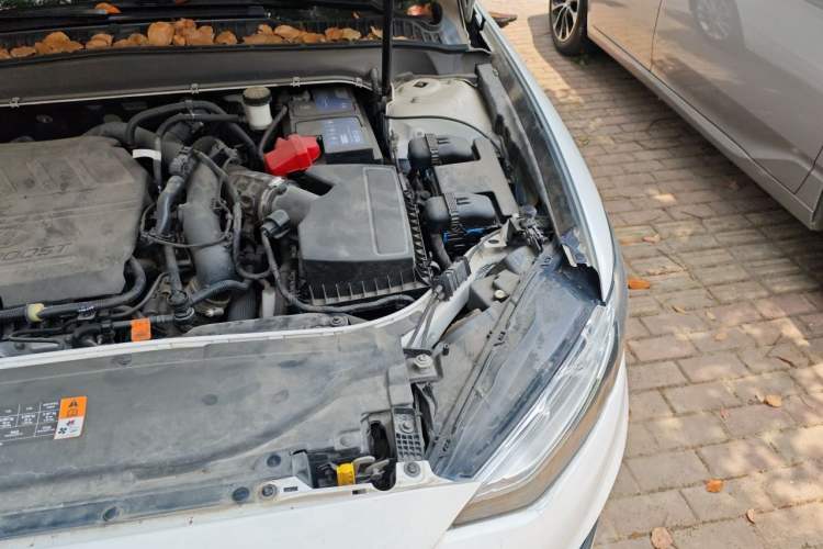 Used Ford Mondeo 2020 EcoBoost 180 Stylish Model Engine Bay Left