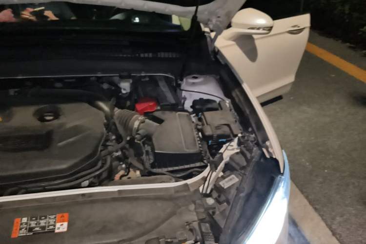 Used Ford Mondeo 2020 EcoBoost 200 Luxury Model Engine Bay Left