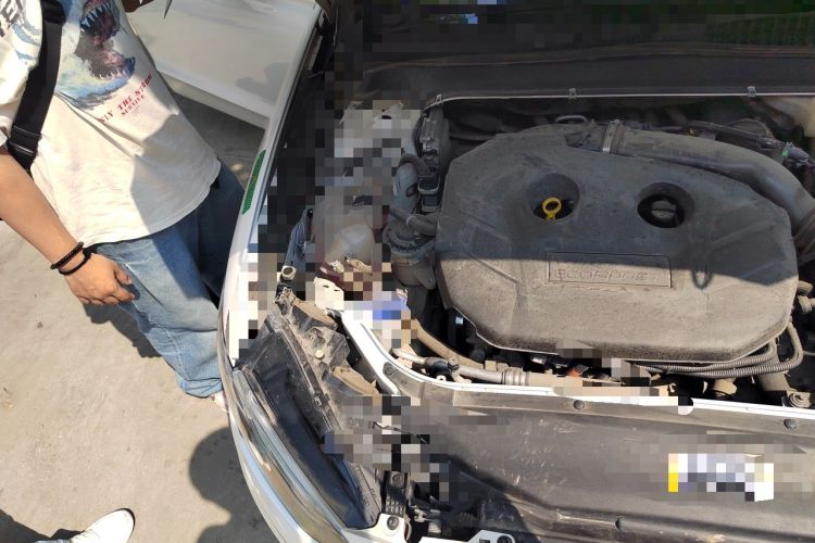 Used Ford Mondeo 2020 EcoBoost 200 Stylish Model Engine Bay Right