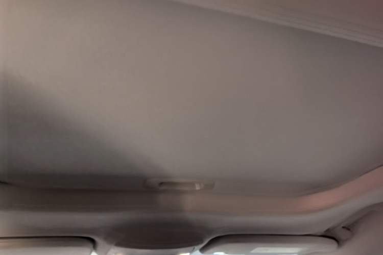 Used Ford Mondeo 2020 EcoBoost 180 Stylish Model Headliner