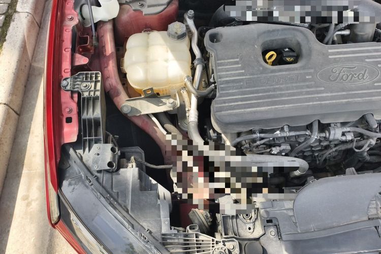 Used Ford Mondeo 2022 EcoBoost 245 Ultimate Model Engine Bay Right