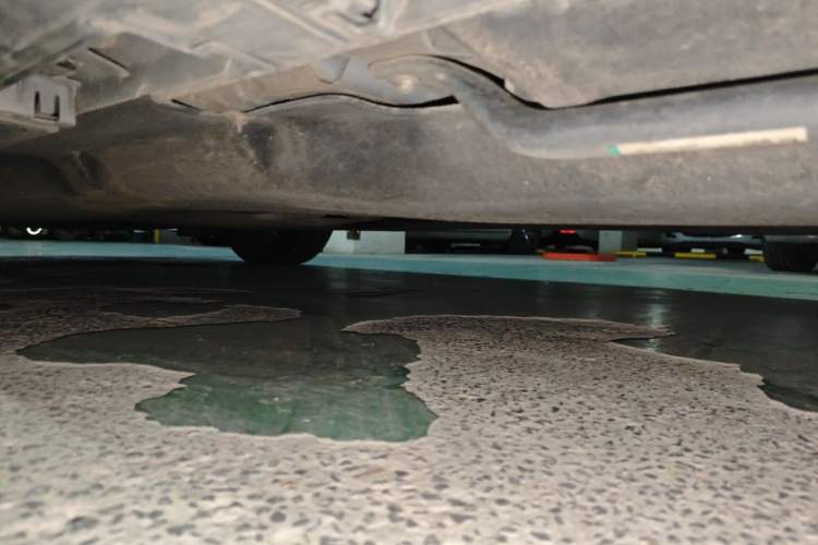 Used Ford Mondeo 2022 EcoBoost 245 Luxury Model Chassis Rear Left
