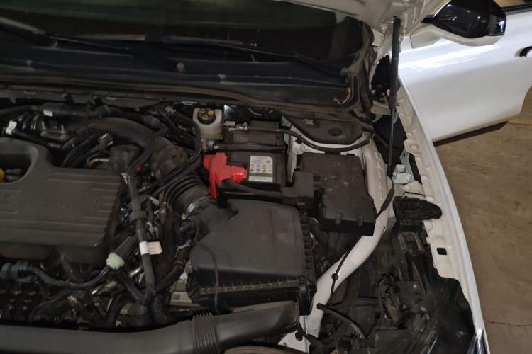 Used Ford Mondeo 2022 EcoBoost 245 Luxury Model Engine Bay Left