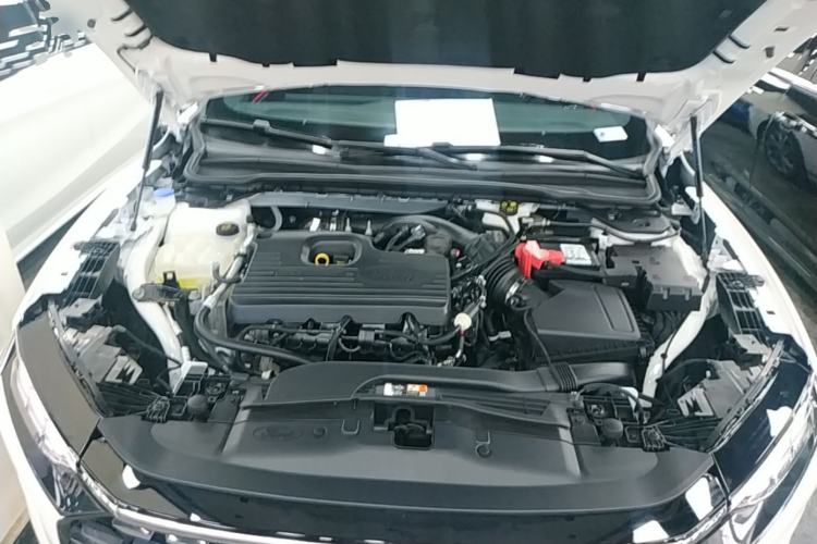 Used Ford Mondeo 2022 Facelifted EcoBoost 245 Ultimate Edition Engine Bay