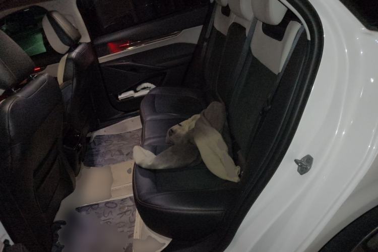 Used Ford Mondeo 2022 EcoBoost 245 Ultimate Model Left Rear Seat