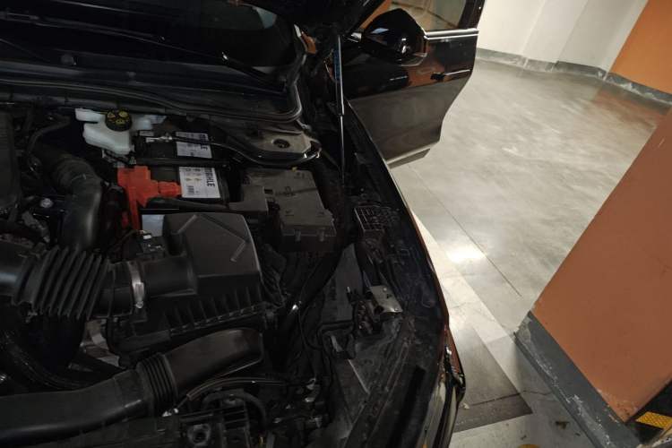 Used Ford Mondeo 2023 EcoBoost 245 Luxury Model Engine Bay Left