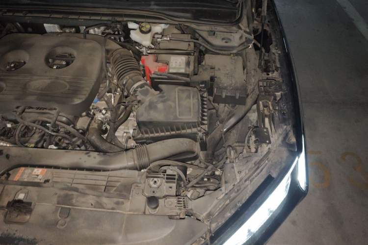 Used Ford Mondeo 2023 EcoBoost 180 Luxury Model Engine Bay Left