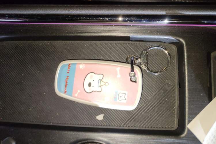 Used Ford Mondeo 2023 EcoBoost 245 Ultimate Model Vehicle Key