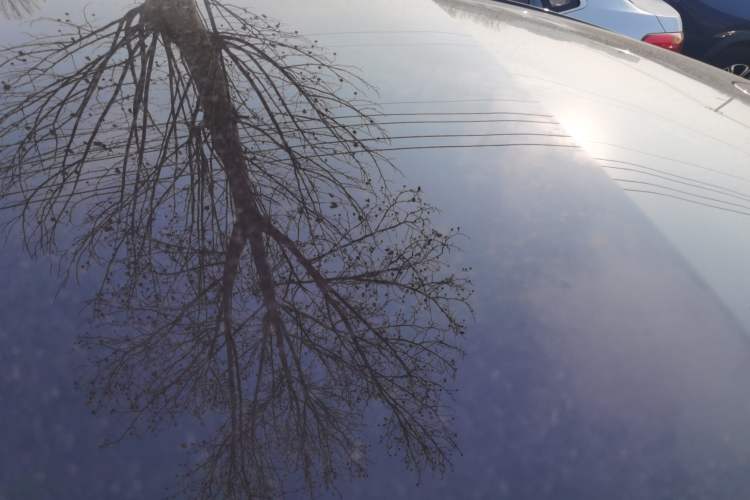 Used Ford Mondeo 2023 EcoBoost 245 Ultimate Model Roof