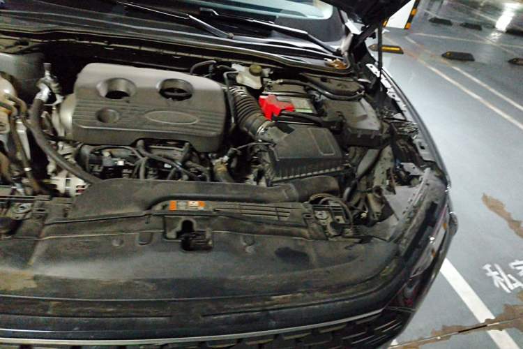 Used Ford Mondeo 2023 EcoBoost 180 Luxury Model Engine Bay Left