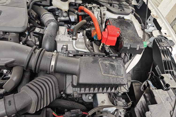 Used Ford Mondeo 2024 2.0T E-Hybrid Sport Edition ST-Line Engine Bay Left