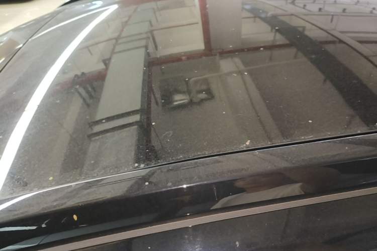 Used Ford Mondeo 2024 2.0T E-Hybrid Sport Edition ST-Line Roof
