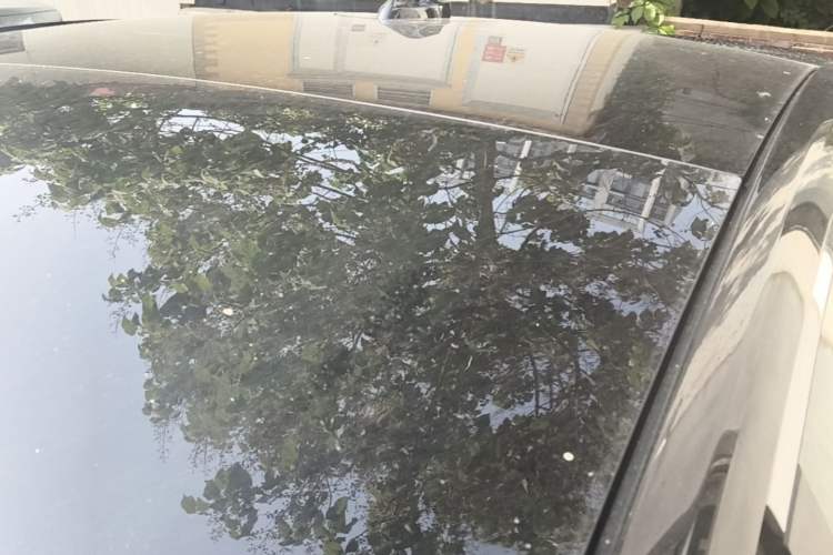 Used Ford Mondeo 2025 2.0T EcoBoost Ultimate Edition Roof