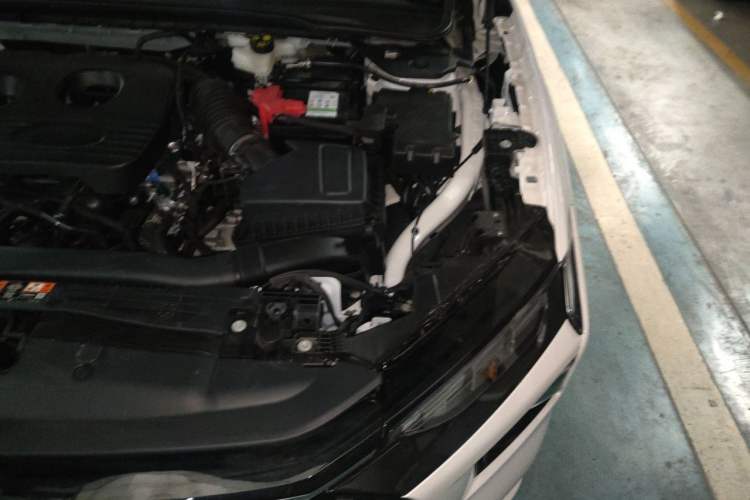 Used Ford Mondeo 2025 1.5T EcoBoost Luxury Version Engine Bay Left