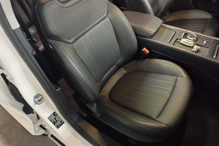 Used Ford Mondeo 2025 2.0T EcoBoost Luxury Version Right Front Seat